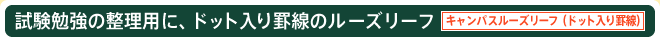 試験勉強の整理用に、ドット入り罫線のルーズリーフ キャンパスルーズリーフ（ドット入り罫線）