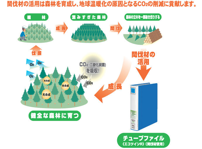 間伐材の活用は森林を育成し、地球温暖化の原因となるCO2の削減に貢献します。
