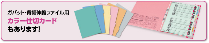ガバット・背幅伸縮ファイル用 カラー仕切カードもあります！