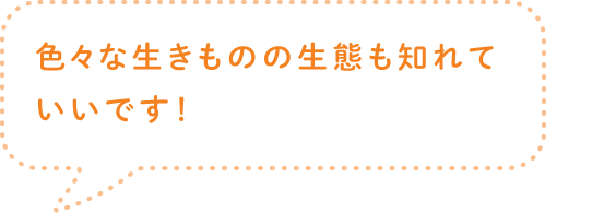 色々な生きものの生態も知れていいです！