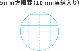 罫線イメージ：5mm方眼罫（10mm実線入り）