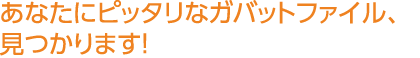 あなたにピッタリなガバットファイル、見つかります！