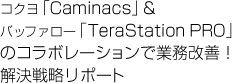 コクヨ「Caminacs」&バッファロー「TeraStation PRO」のコラボレーションで業務改善！解決戦略リポート