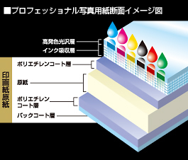 色域を広げるとともに発色濃度を向上