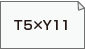 T5×Y11（H138×W304）