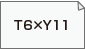 T6×Y11（H163×W304）