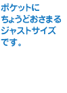 ポケットにちょうどおさまるジャストサイズです。