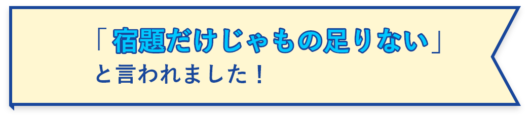 宿題だけじゃもの足りない