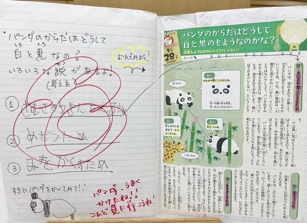 (カ)書き方ステップ②画像（小学生）jpg.jpg