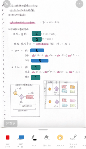 勉強アプリ　ノートアプリ　Carry Campus　キャリーキャンパス　生物ノート　暗記ペンのサムネイル画像