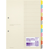 カラー仕切カード ファイル用A4縦2穴6色12山＋扉紙1組