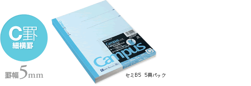 C罫細横罫 罫幅5mm