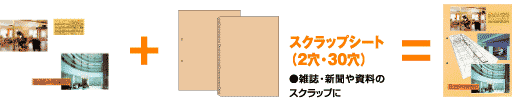 スクラップシート（2穴・30穴）