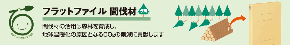 フラットファイル間伐材使用