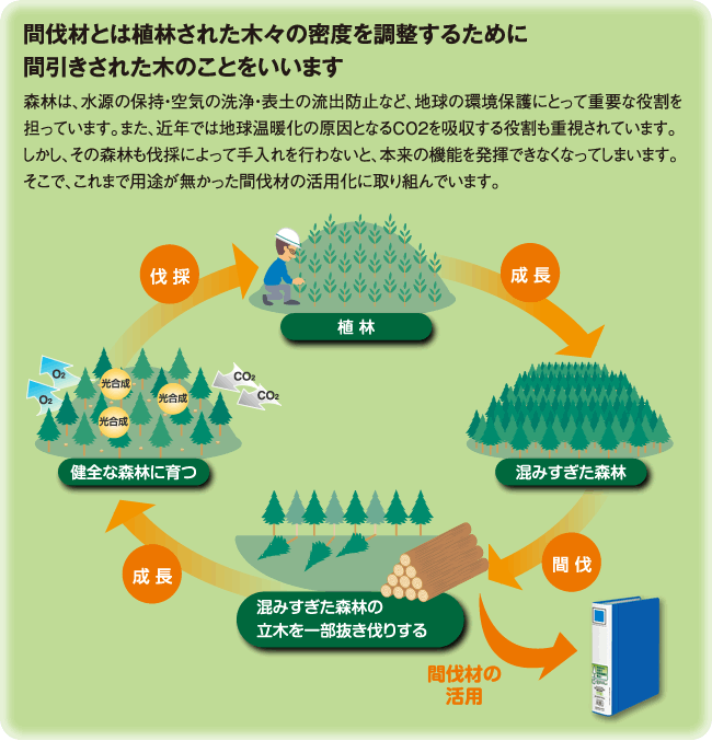 キャッチコピーがはいります。