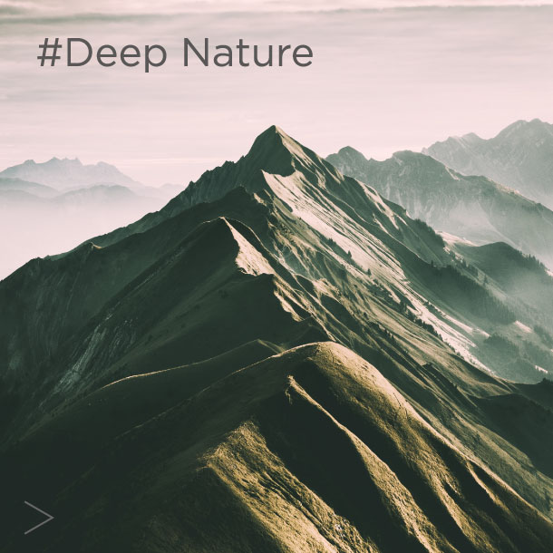 Deep Nature