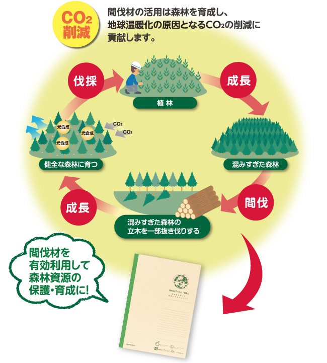 CO2削減 間伐材の活用は森林を育成し、地球温暖化の原因となるCO2の削減に貢献します。