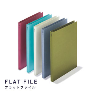 flat file