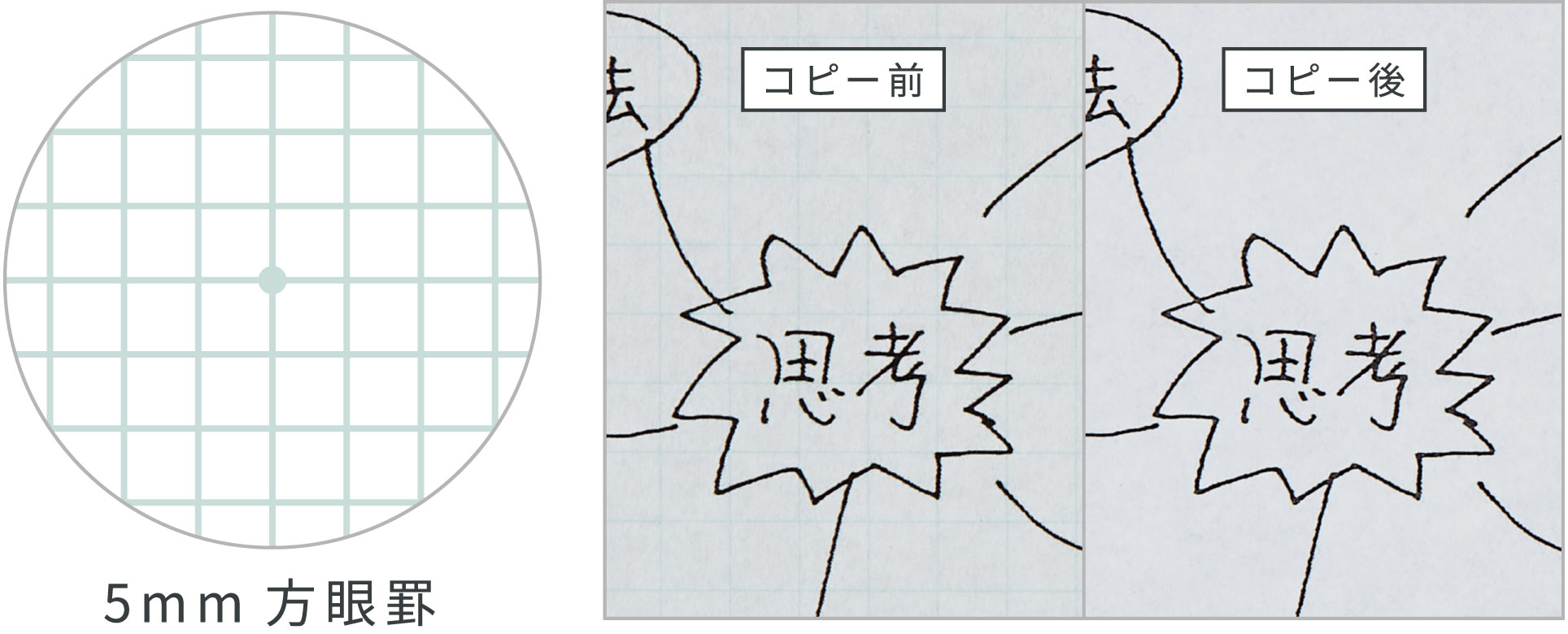 画像：ページイメージ