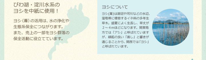 びわ湖・淀川水系のヨシを中紙に使用！ヨシ（葦）の活用は、水の浄化や生態系保全につながります。また、売上の一部をヨシ群落の保全活動に役立てています。