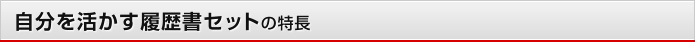 自分を活かす履歴書セットの特長