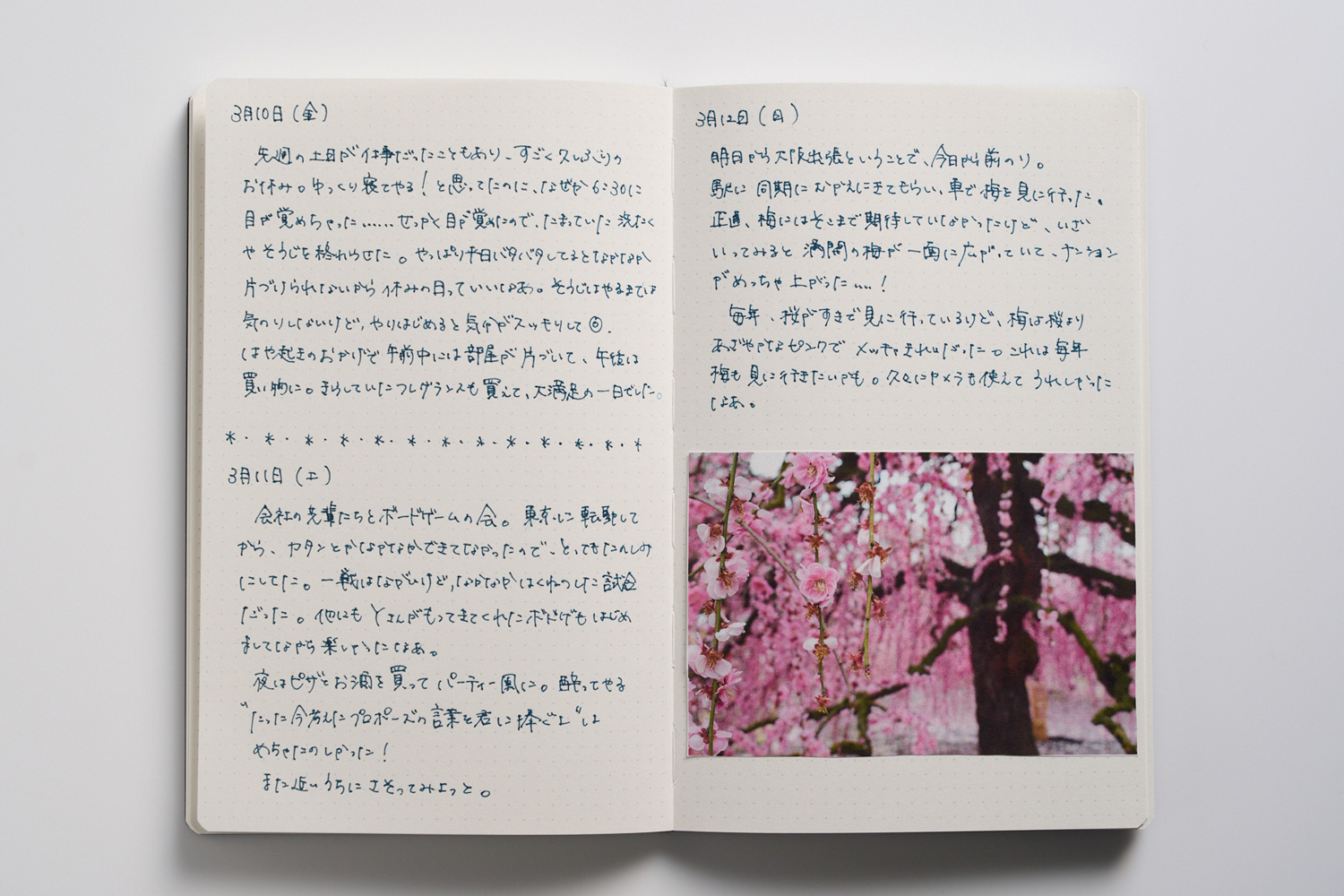 ローラーボール|KOKUYO WP|コクヨステーショナリー ローラーボール|KOKUYO WP|コクヨステーショナリー