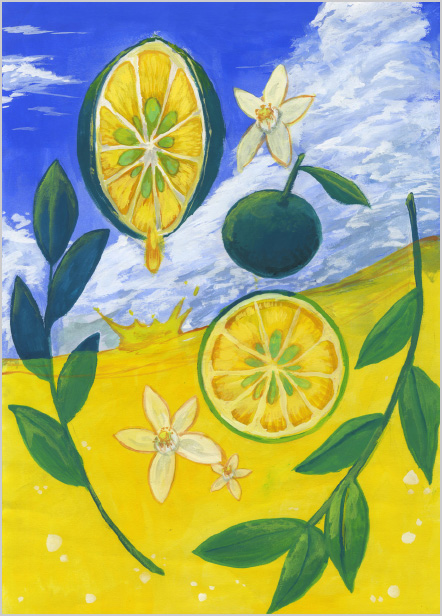 すっぱい!シークヮーサー