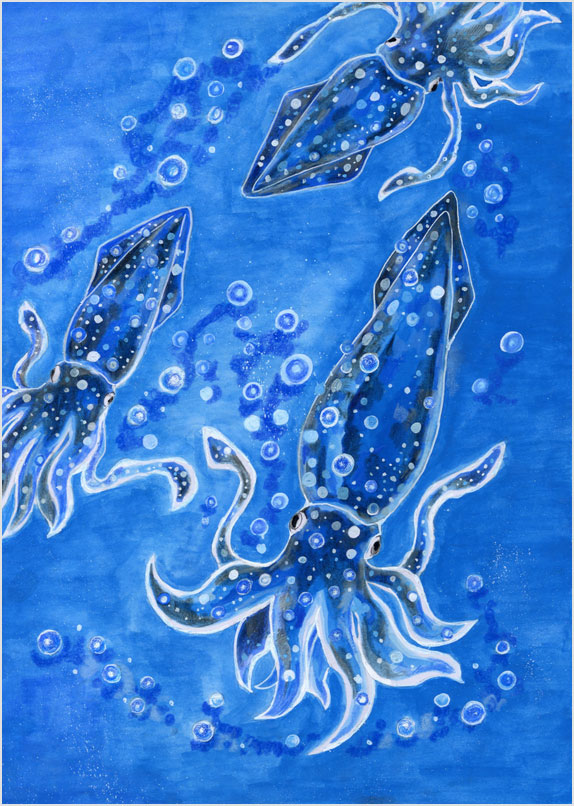 青い宝石ホタルイカ!!