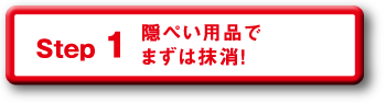 Step 1 隠ぺい用品でまずは抹消!