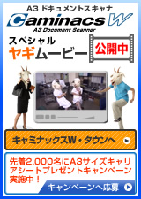 CaminacsWMłЉ@L~ibNXWE^E